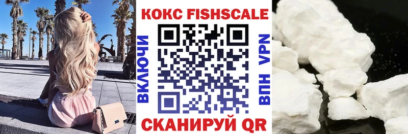 COCAIN FishScale  Купить закладки  Бирюч 