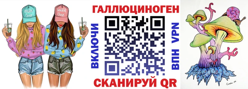 Галлюциногенные грибы Psilocybe  Купить где  Бирюч 